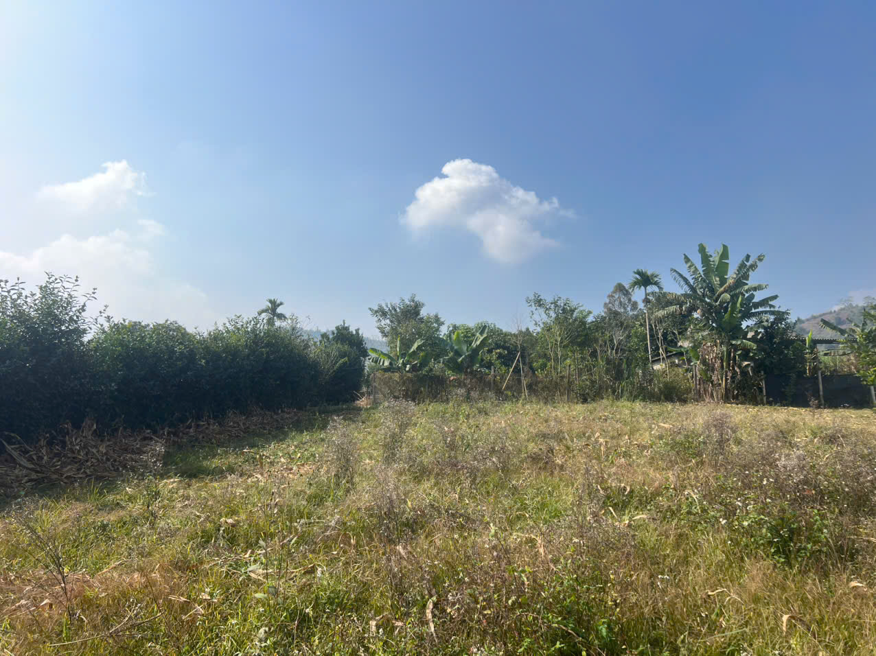 Bán 2561M có 1400M đất ở bám suối 65M_Bắc Phong Cao Phong HB_2,x tỷ - Ảnh 2